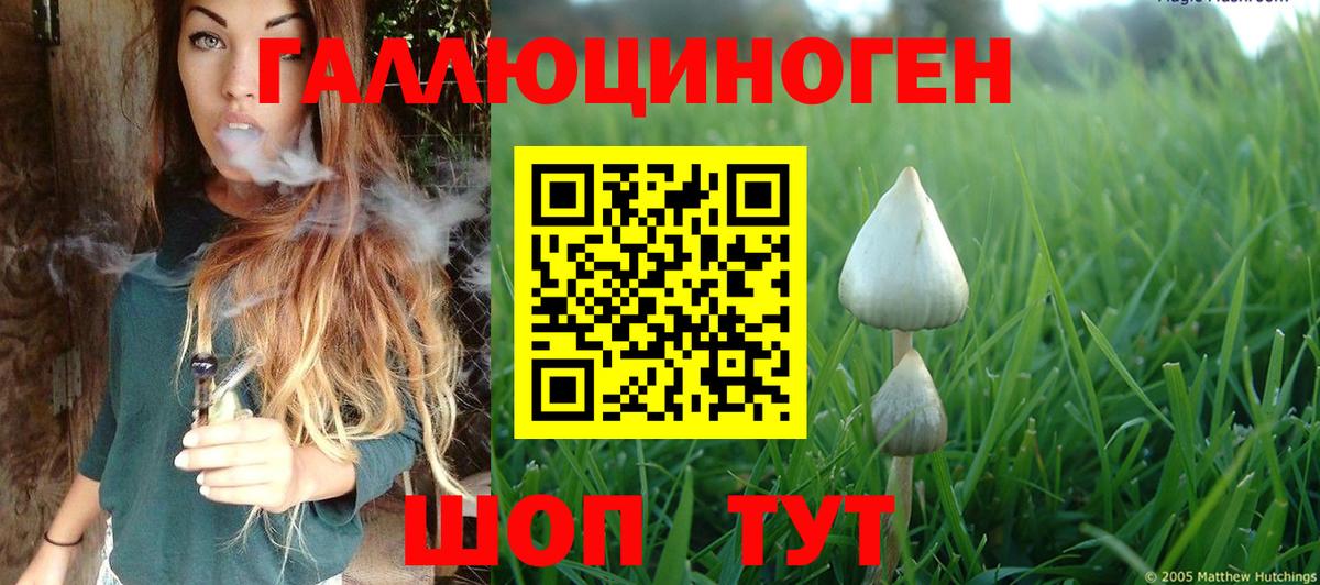 Псилоцибиновые грибы мухоморы Отрадный
