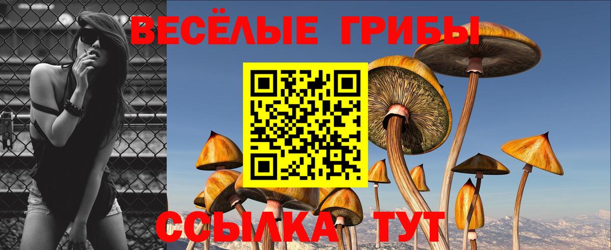 Отрадный  Псилоцибиновые грибы Psilocybe  Вход с VPN 