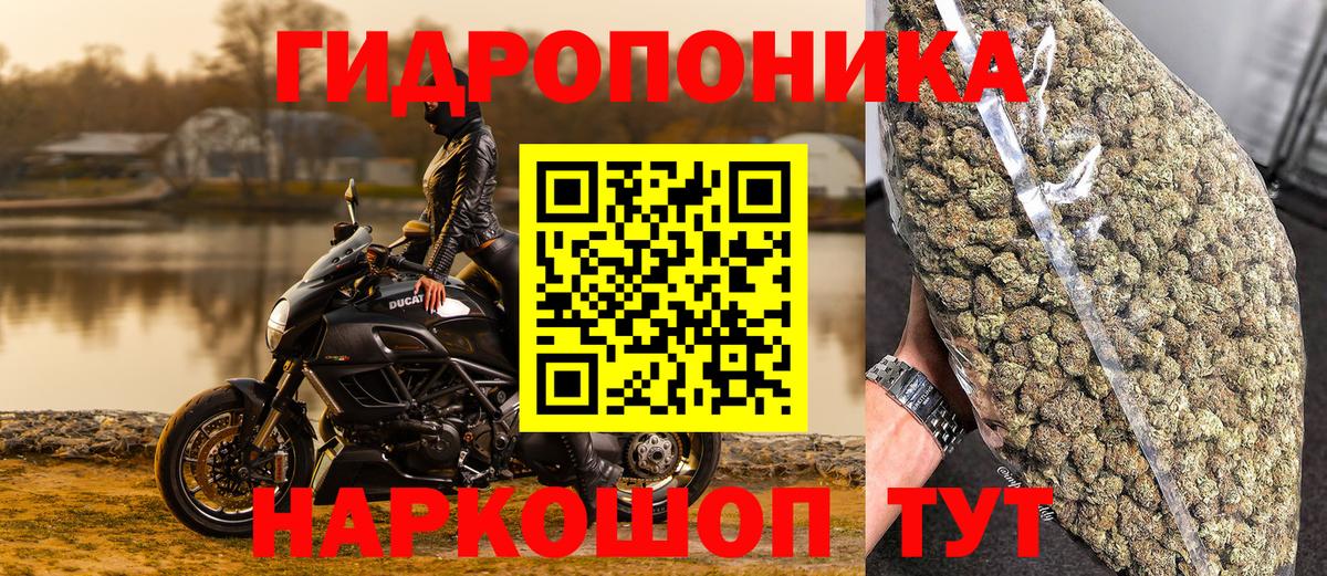 Канабис гибрид Отрадный